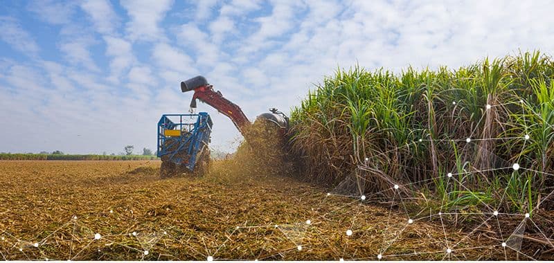 Barbados Agricultural Management Company (BAMC)