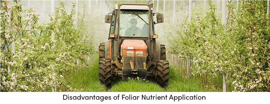 Disadvantages of Foliar Nutrient Application
