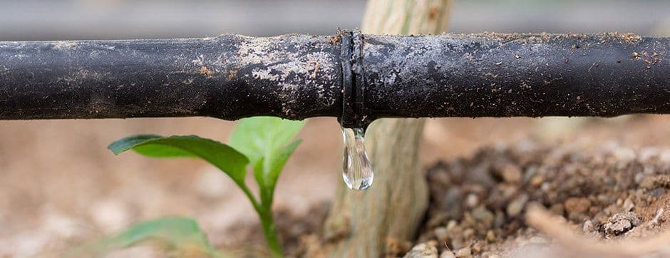 Drip Irrigation: The Most Efficient Irrigation System
