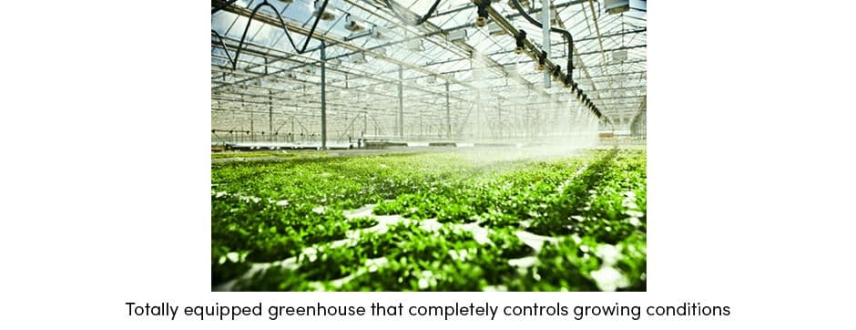 Equipped Greenhouse