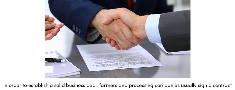 Establishing a Solid Business Deal