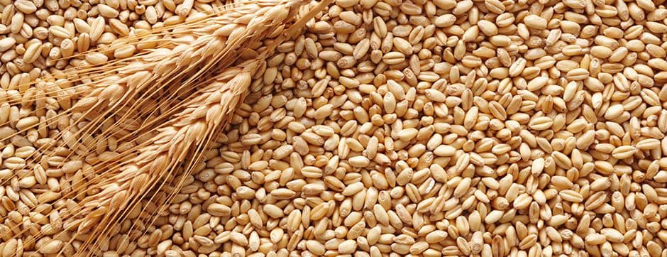 Farm Practices That Will Take Grain Storage to a New Level