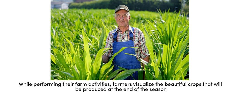 Farmer Visualize End of Season