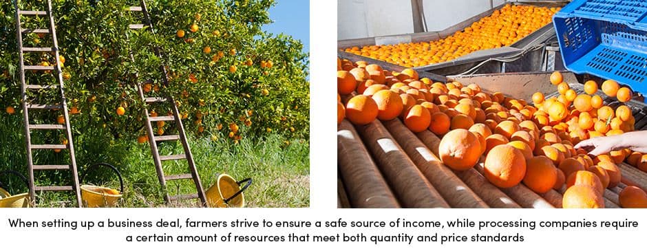 Farmers Ensure Safe Source of Income