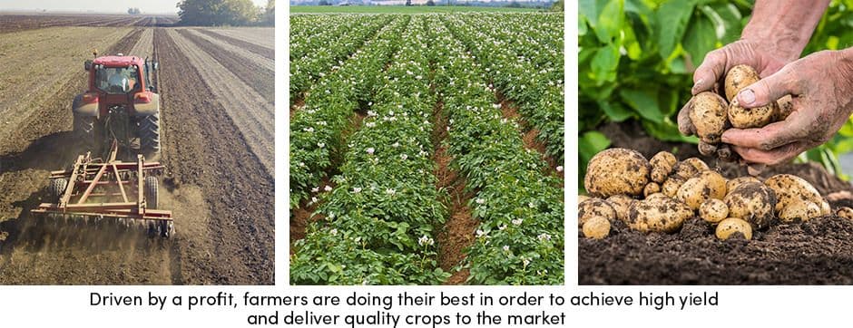 Farmers Profit