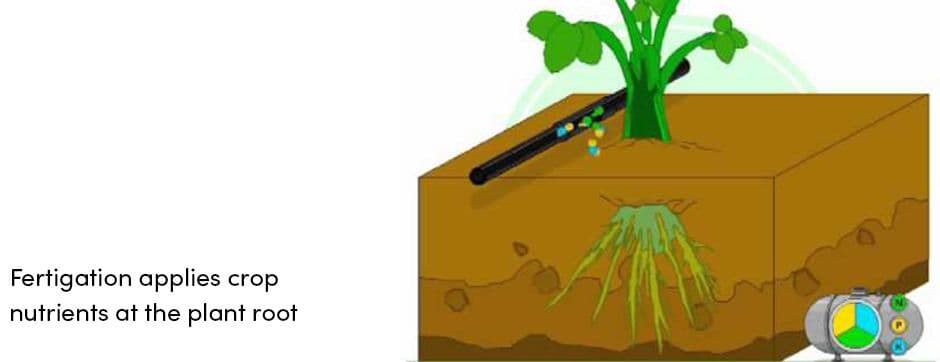 Fertigation Applies Crop Nutrients