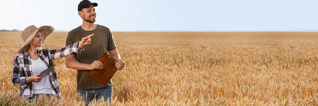 Field Management