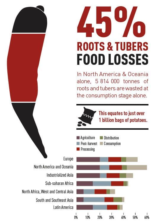 Food Loss Roots and Tubers