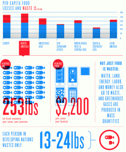 Food losses and waste per-capita