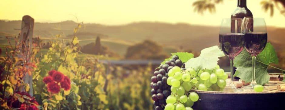 Key Factors for Successful Wine Production