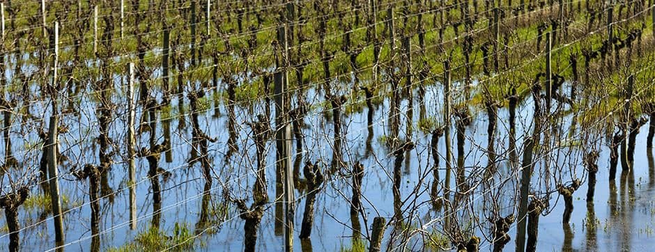 Mole Plows: Essential Tools for Soil Porosity Improvement