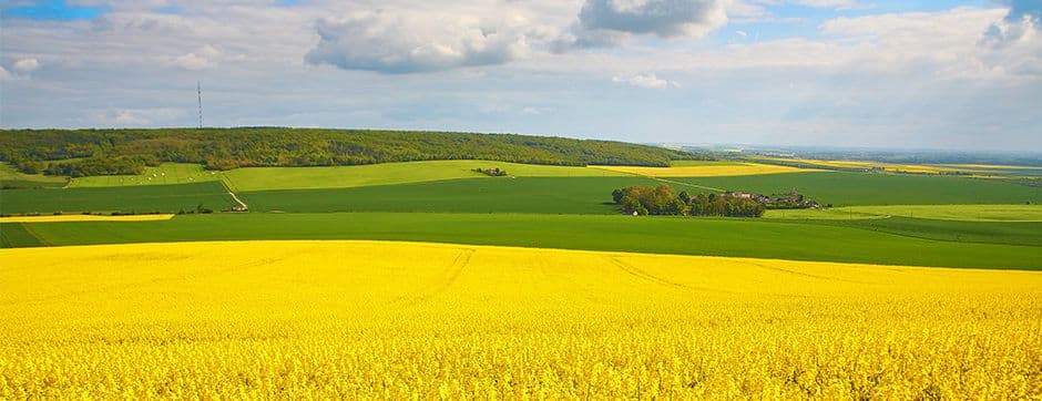 No-till Farming; One Step Closer to Sustainability