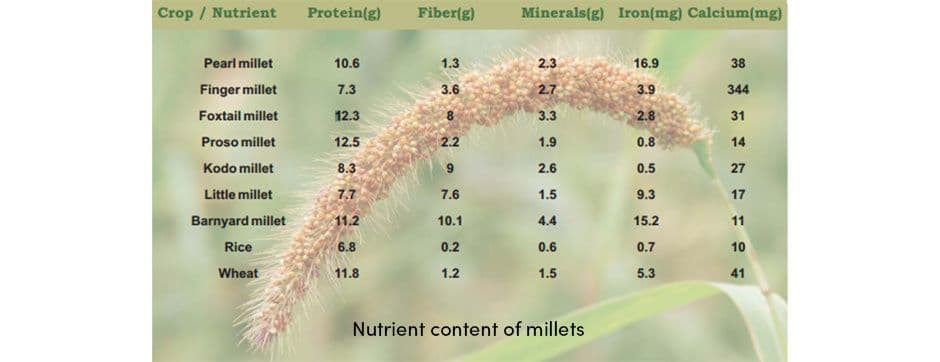 Nutrient Content of Millets