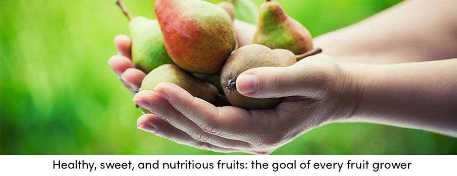 Nutritious Fruits