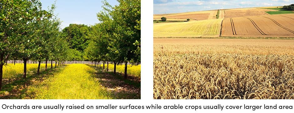 Orchards on smaller surfaces, arable on larger land area