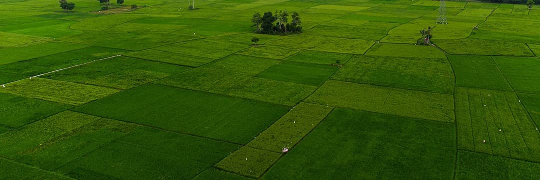 Permaculture