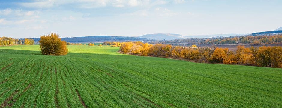 Plow – A Must Have Piece of Farm Equipment