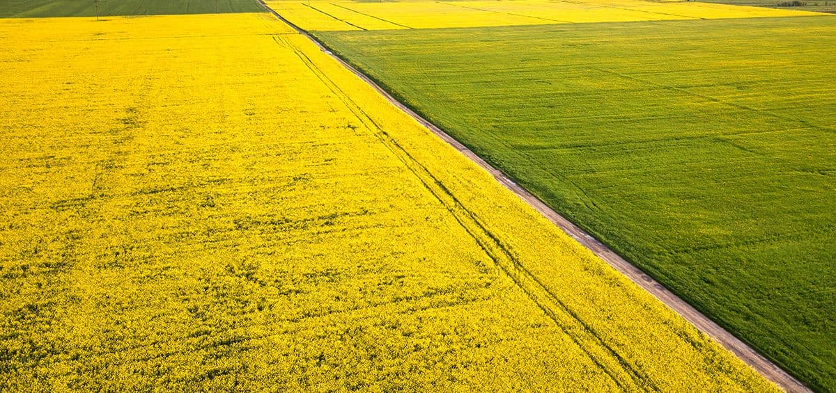 Polyculture Farming and Digital Agriculture Systems