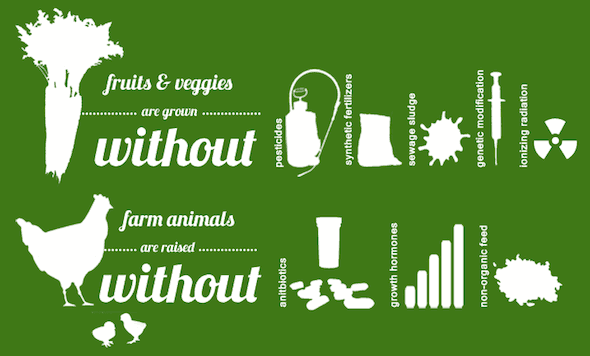 Reasons why organic food is healthier