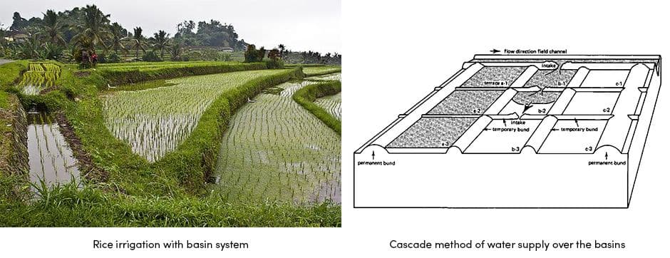 Recording Farm Activities with Basins System