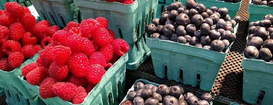 Reveal Numerous Possibilities of Crop Packaging