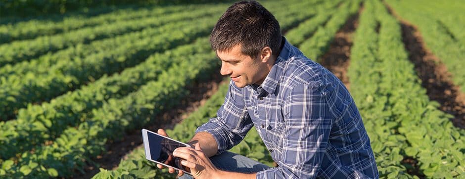 Take the Best of AGRIVI Farm Management Software