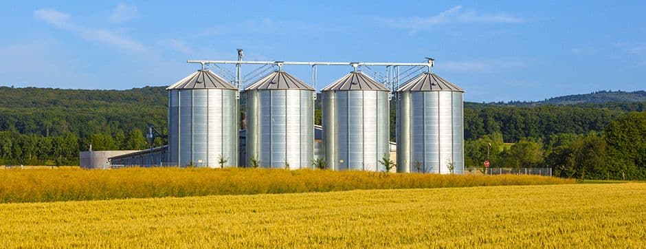 The Art of Managing Grain Quality with Silos