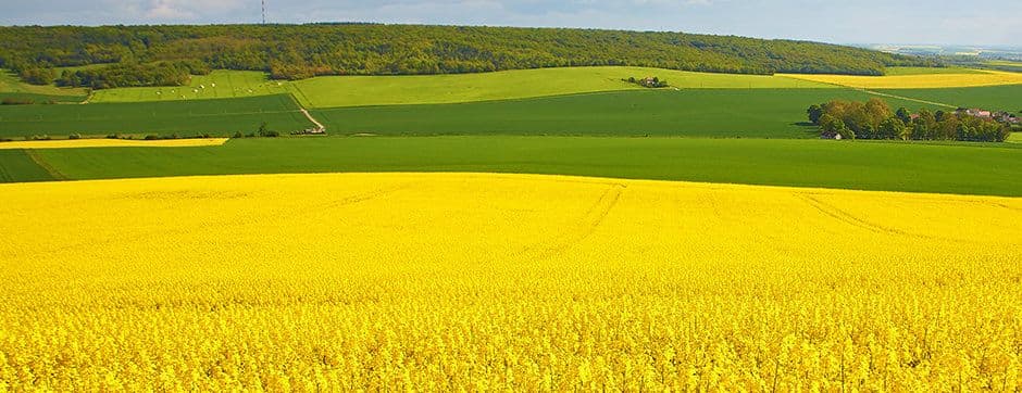 Increase Your Productivity by Making a Soil Tillage Plan