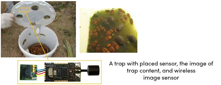 Trap with Placed Sensor
