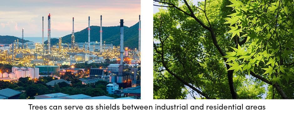 Trees can Serve in Industrial Areas