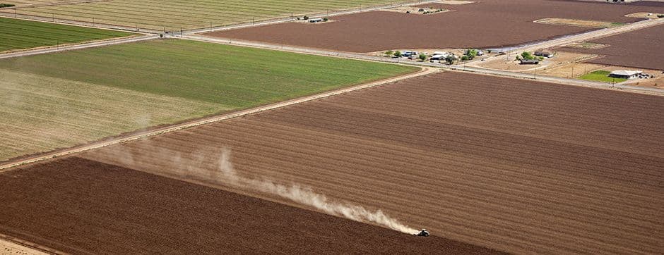 Turn-Key Solution for Global Hunger Eradication