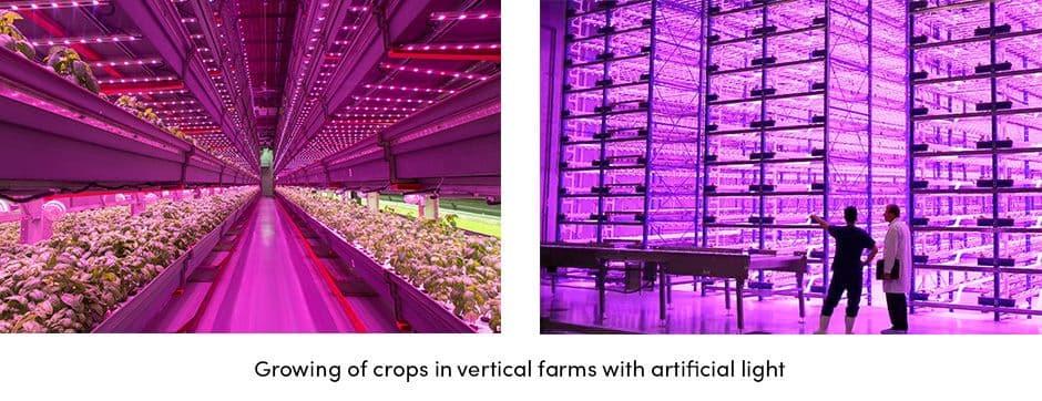 Vertical Farms with Artificial Light