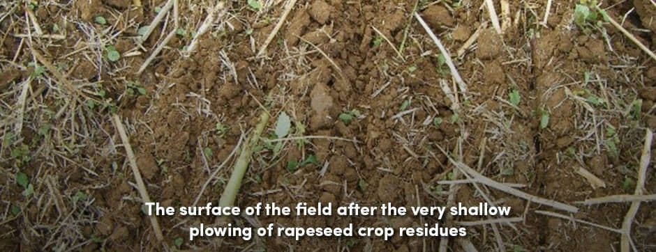 Very Shallow Plowing