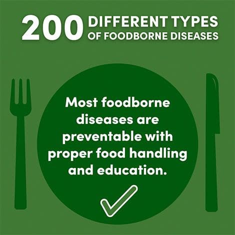 world food safety day graphic 200 different food types
