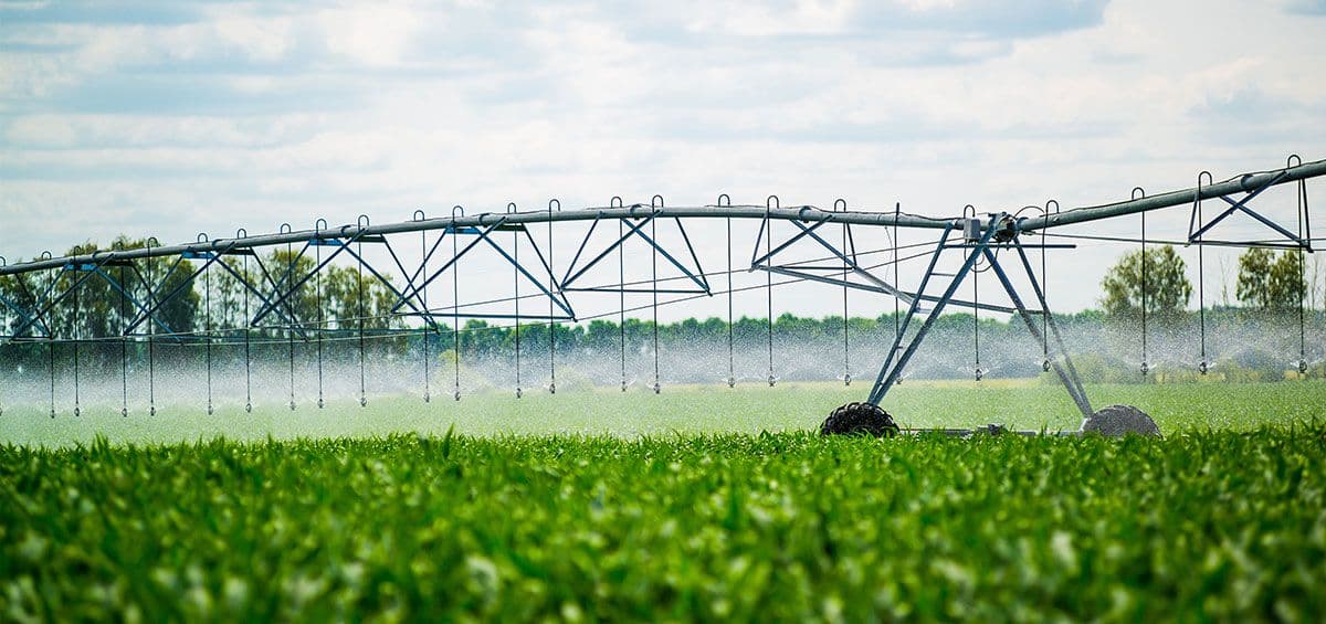 Water Sustainability: How to Grow Your Farm and Take Care of The Environment