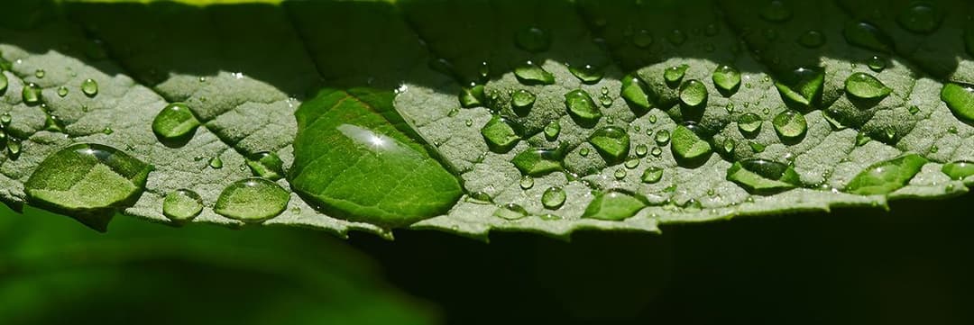 Water-Sustainability-Farming