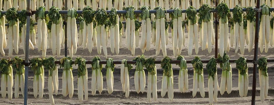 What Makes Sun Drying a Valuable Farm Practice?