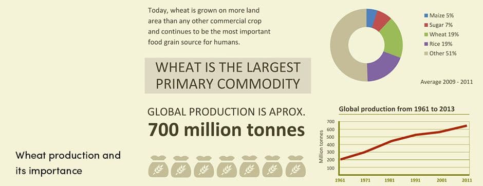 Wheat Production