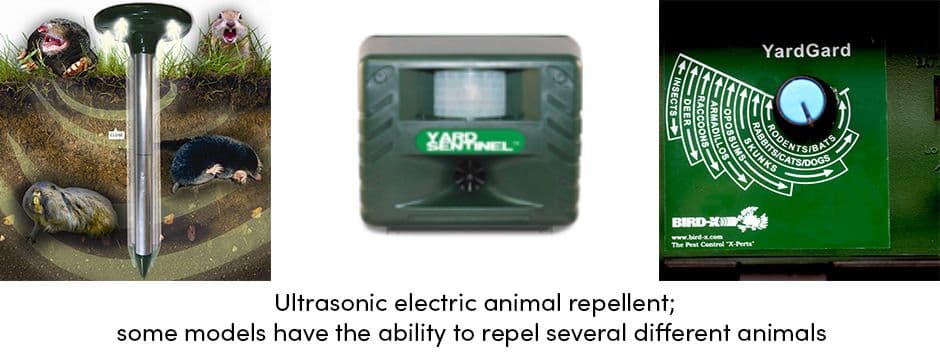 ultrasonic pest repellent