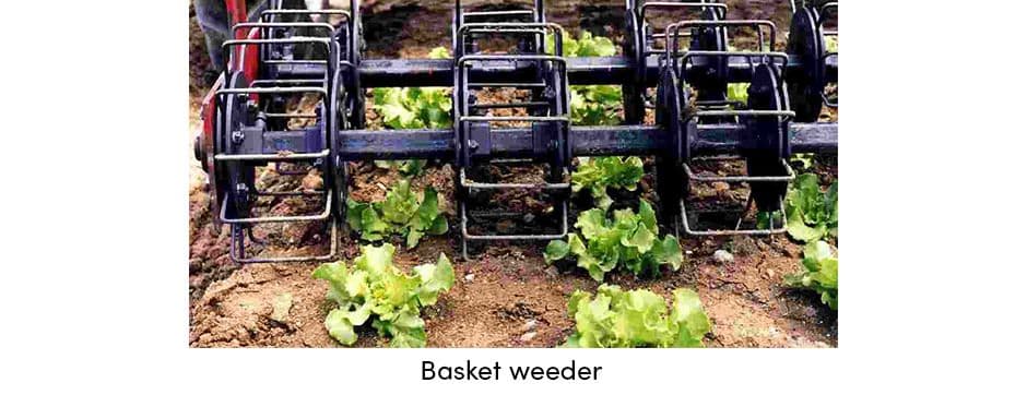 Basket Weeder