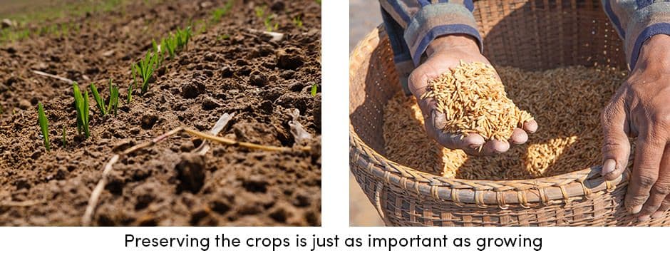 Crops preserving
