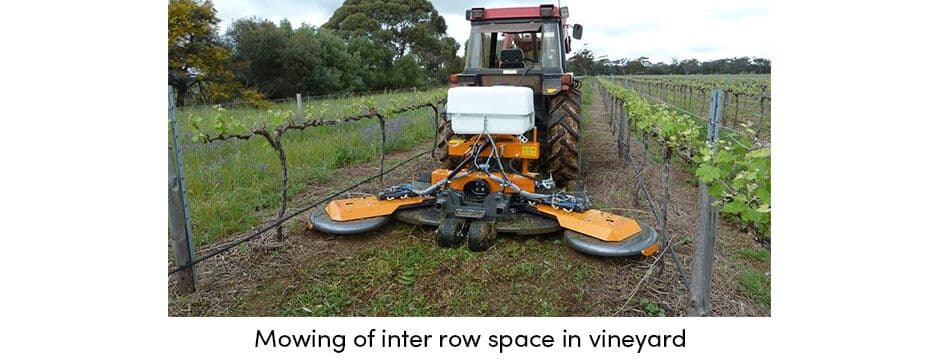how-can-regular-crop-maintenance-provide-stable-yields5
