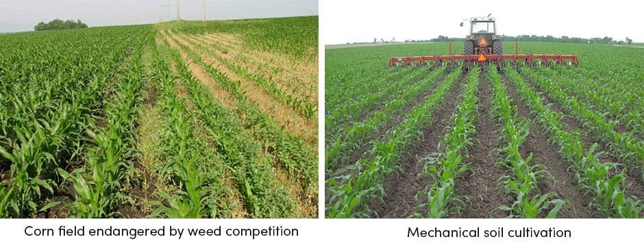Mechanical Soil Cultivation
