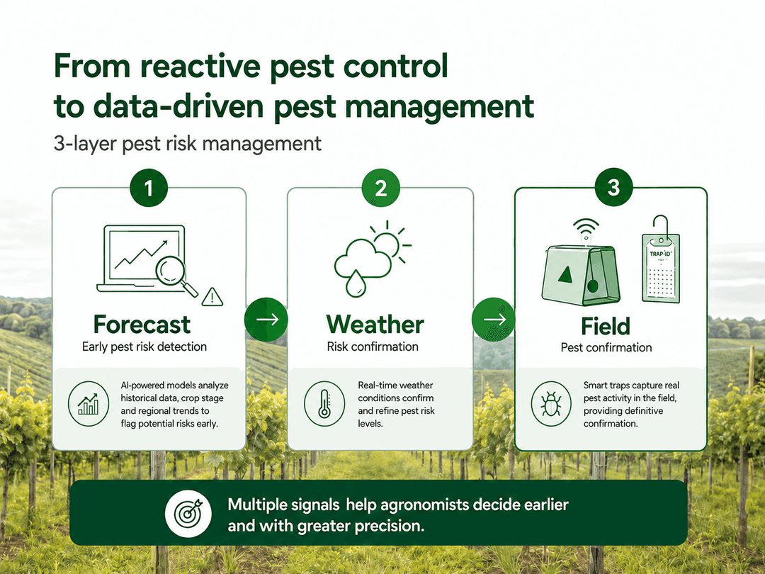 Infographic or diagram showing the 3-layer pest risk management framework: (1) Early Pest Risk Detection via forecasts, (2) Risk Confirmation via weather stations, (3) Pest Confirmation via pest traps