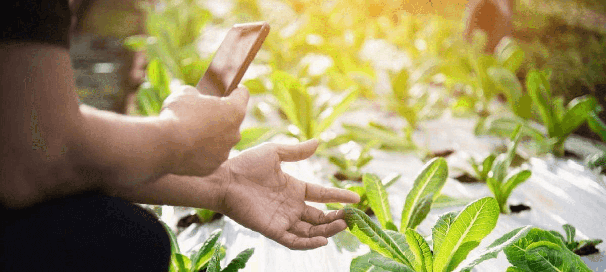 8 Reasons to Farm Organic