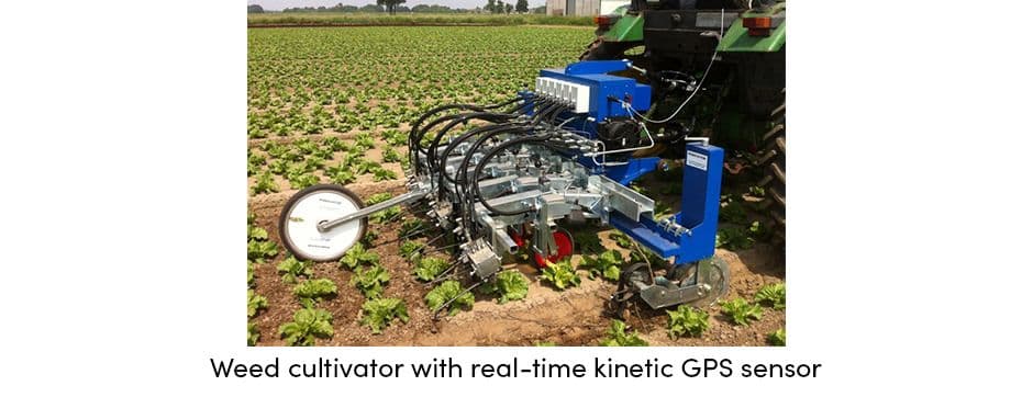 Weed Cultivator