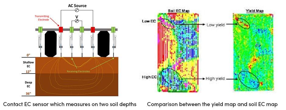 Yield and Soil EC maps