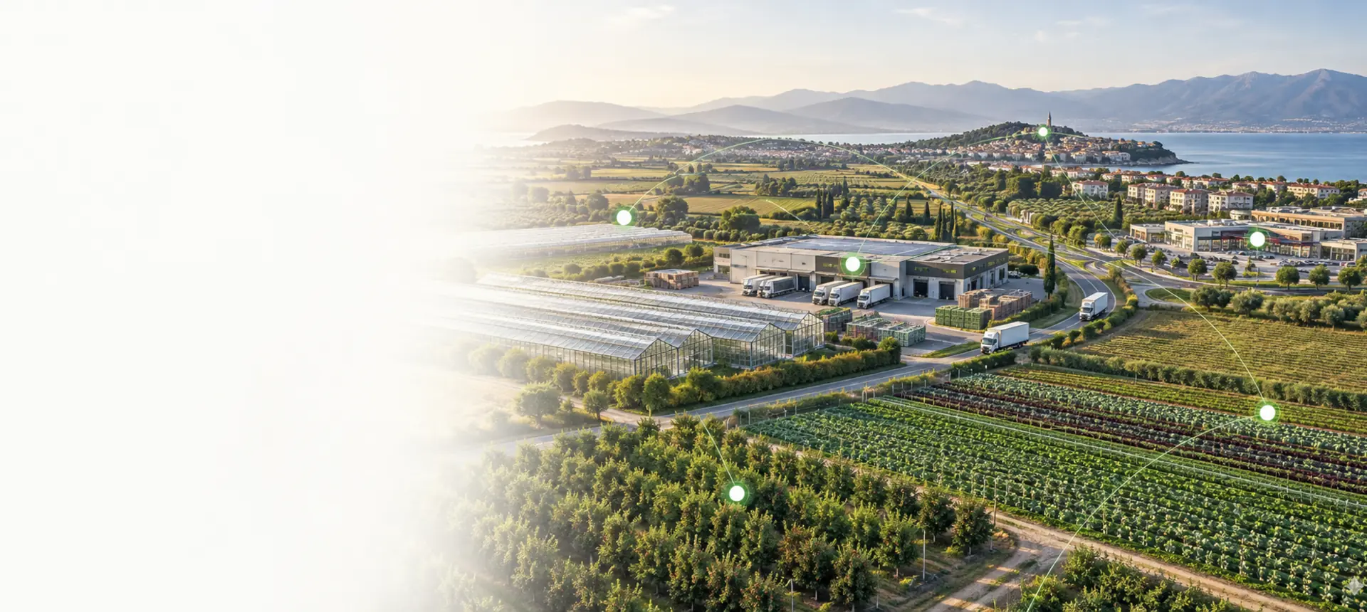 Aerial view of a farm-to-retail value chain — greenhouses and fields connected by a digital network to a distribution center, trucks, and retail stores