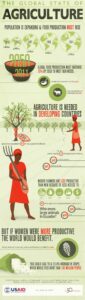 USAID Agriculture