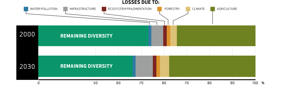 World Biodiversity